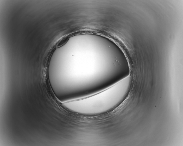 X0000094371355200711020745