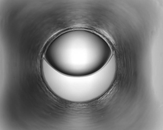 X0000094371356200711020745