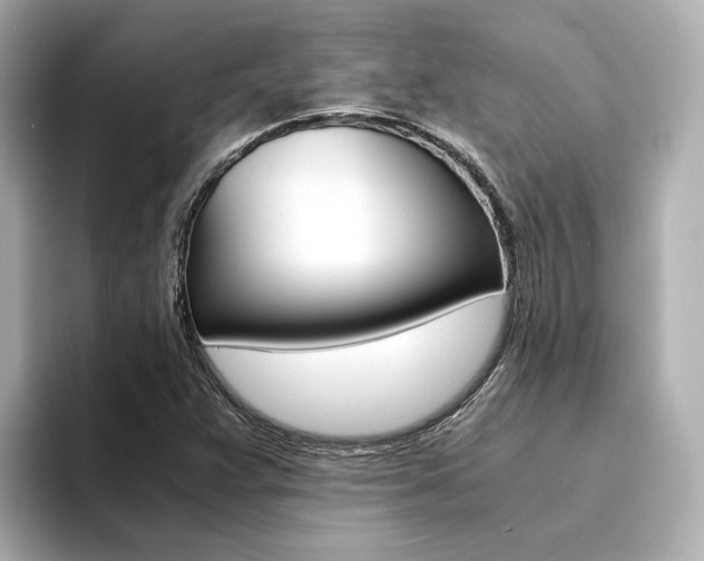 X0000094371359200711020745