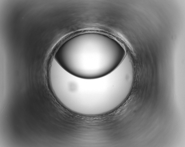 X0000094371360200711020745