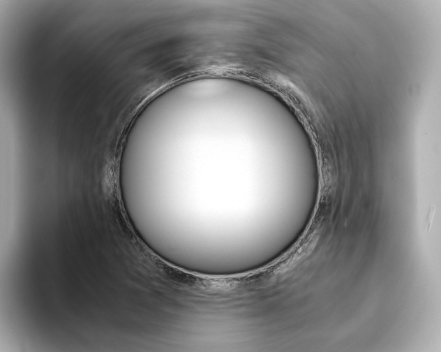 X0000094371361200711020745