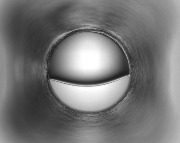 X0000094371363200711020745