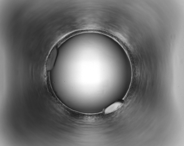 X0000094371364200711020745