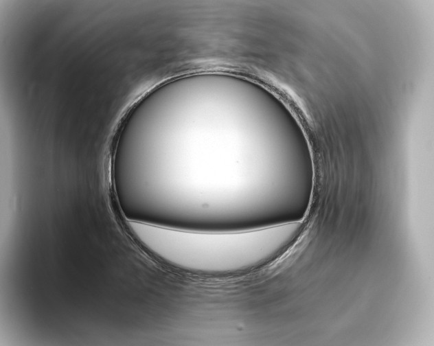 X0000094371365200711020745