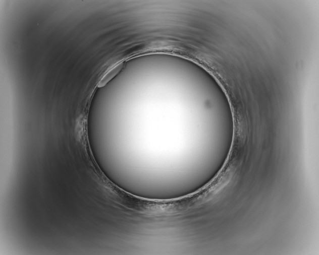 X0000094371369200711020745