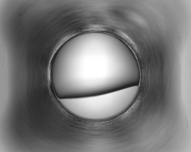 X0000094371370200711020745