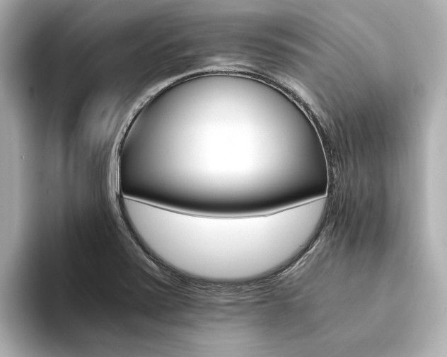 X0000094371371200711020745
