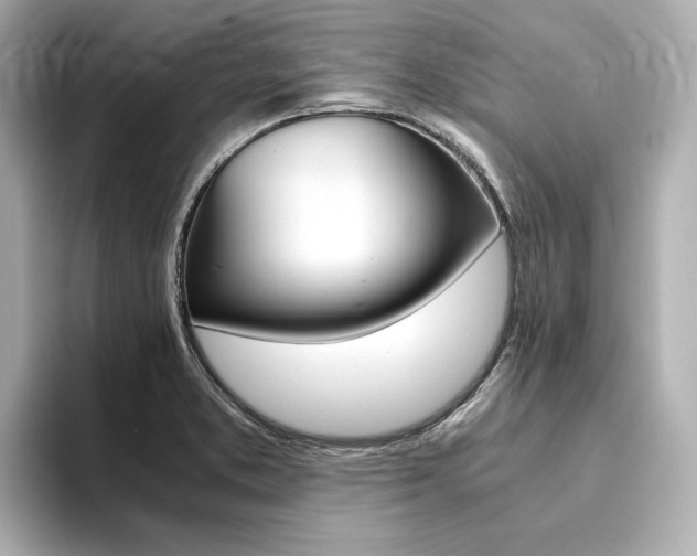X0000094371373200711020745