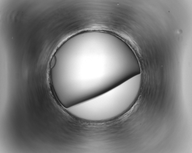 X0000094371374200711020745