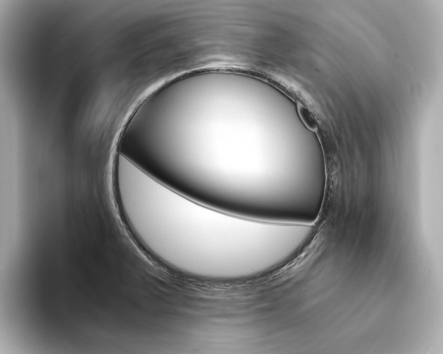 X0000094371375200711020745