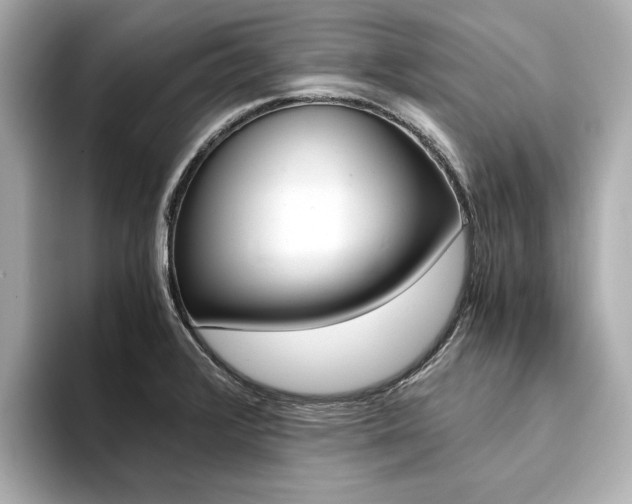 X0000094371376200711020745
