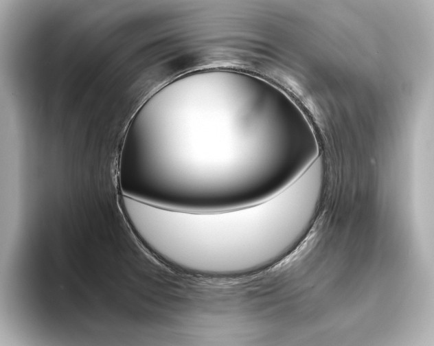 X0000094371377200711020745