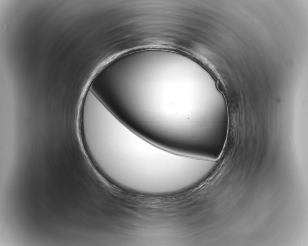 X0000094371379200711020744