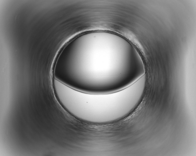X0000094371380200711020744