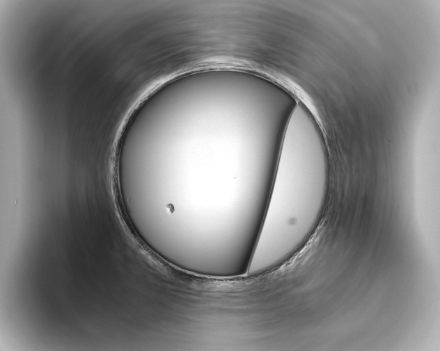X0000094371381200711020744