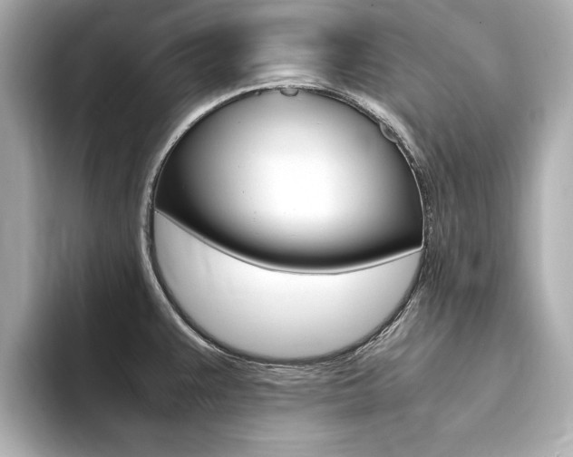 X0000094371383200711020744