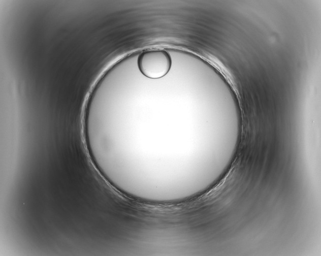 X0000094371384200711020744