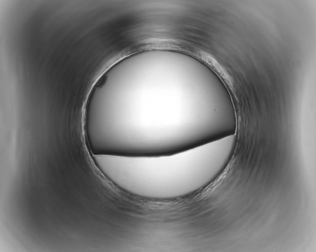 X0000094371386200711020744