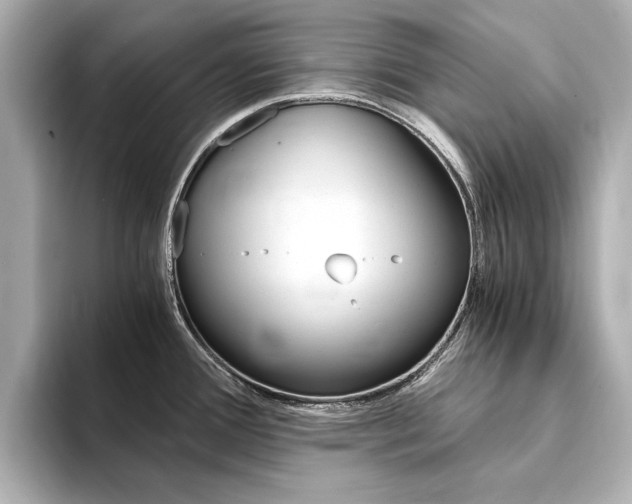 X0000094371388200711020744