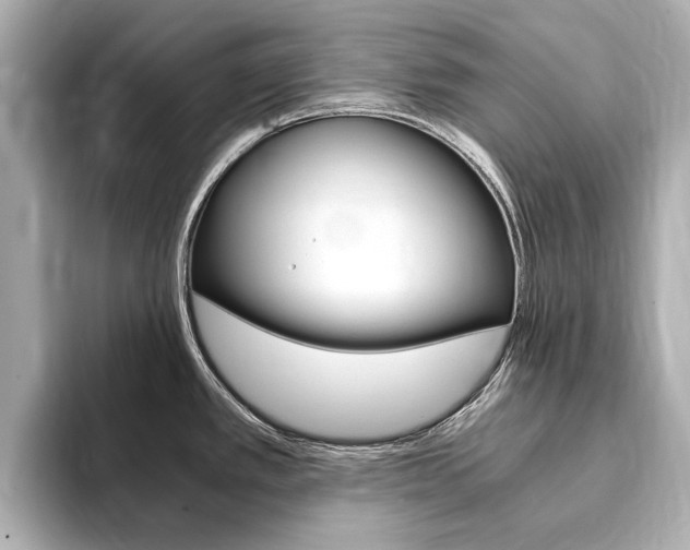 X0000094371389200711020744