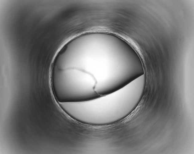 X0000094371390200711020744