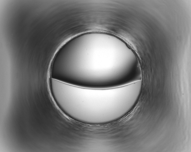 X0000094371391200711020744