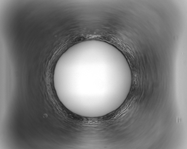 X0000094371393200711020744