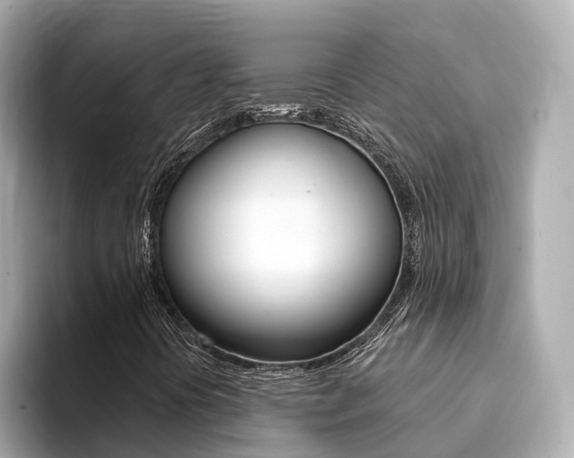X0000094371394200711020744