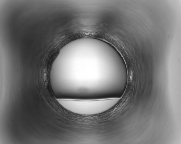 X0000094371396200711020744