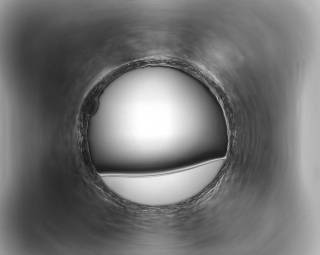 X0000094371400200711020744