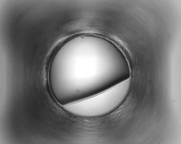 X0000094371408200711020744