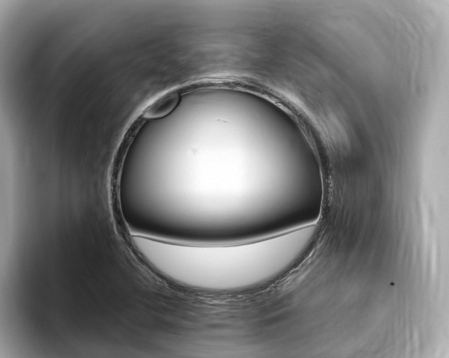 X0000094371412200711020744