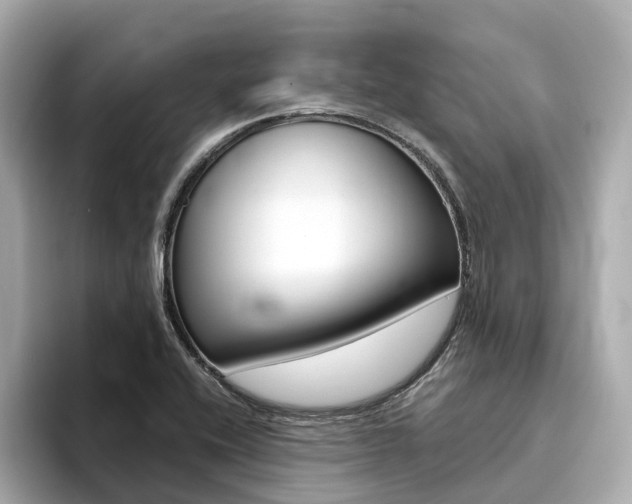 X0000094371416200711020744