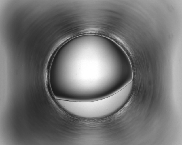X0000094371418200711020744