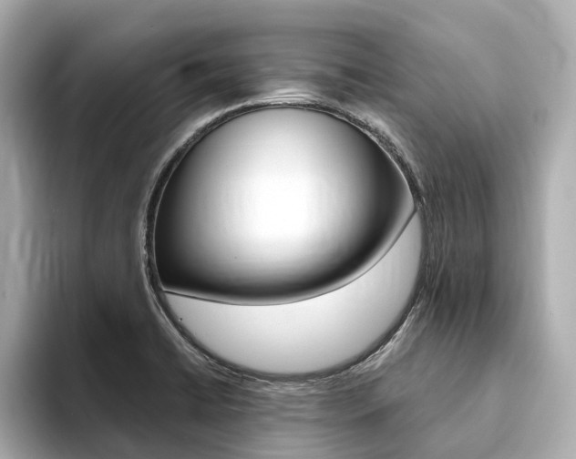 X0000094371422200711020744