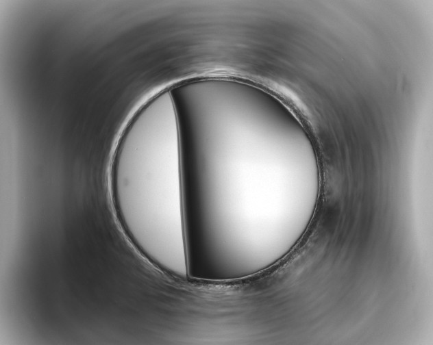 X0000094371424200711020744