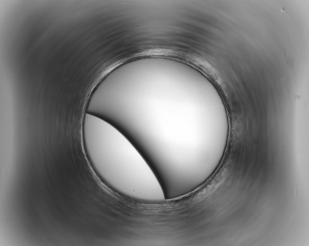 X0000094371425200711020744