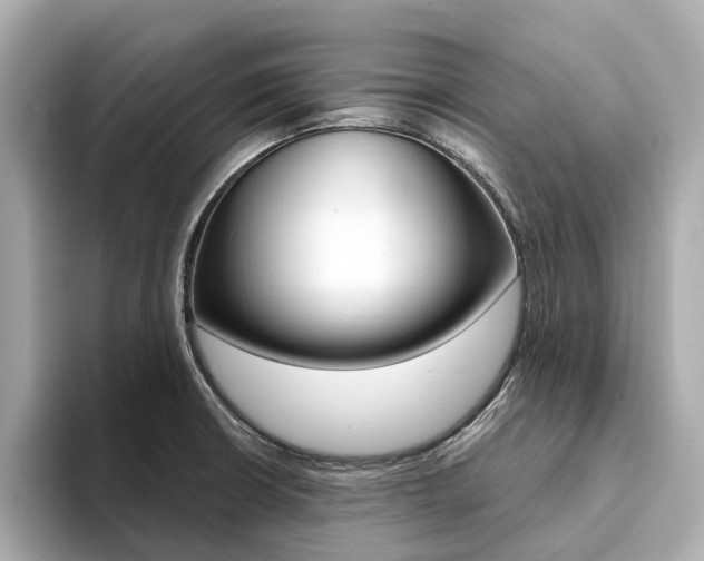 X0000094371426200711020744