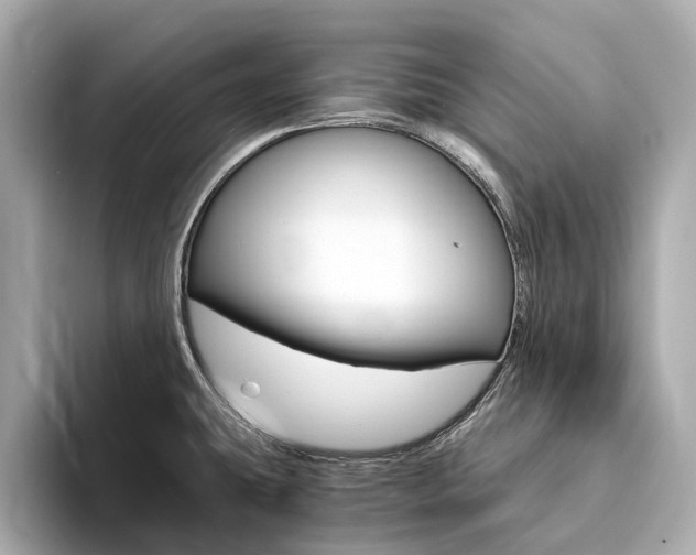 X0000094371431200711020744