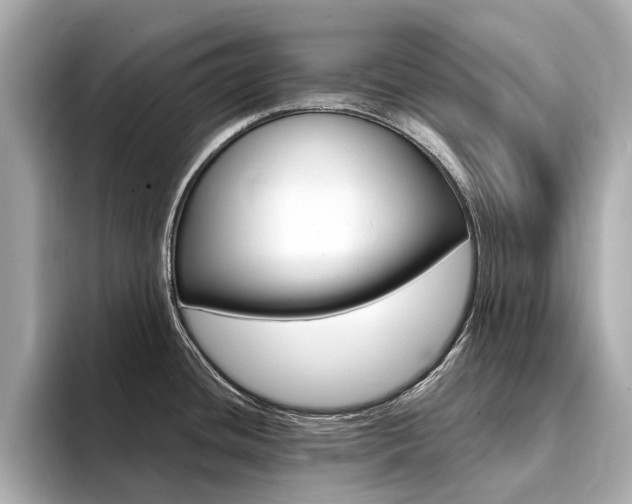 X0000094371436200711020744