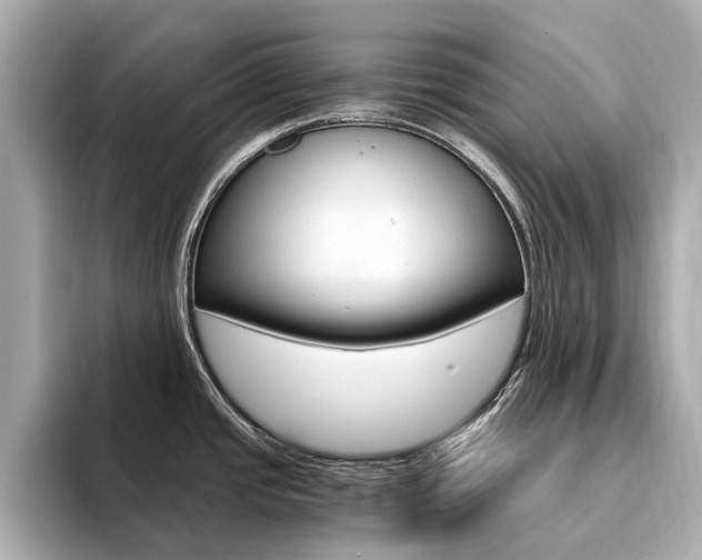 X0000094371437200711020744
