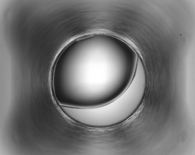 X0000094371438200711020744