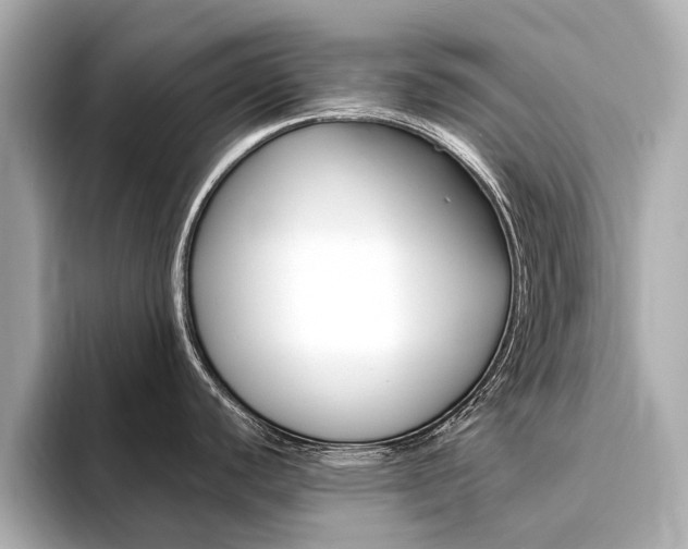 X0000094371440200711020744