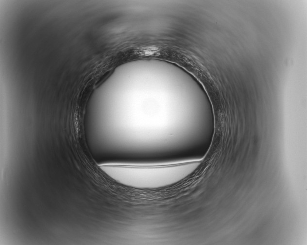 X0000094371442200711020744