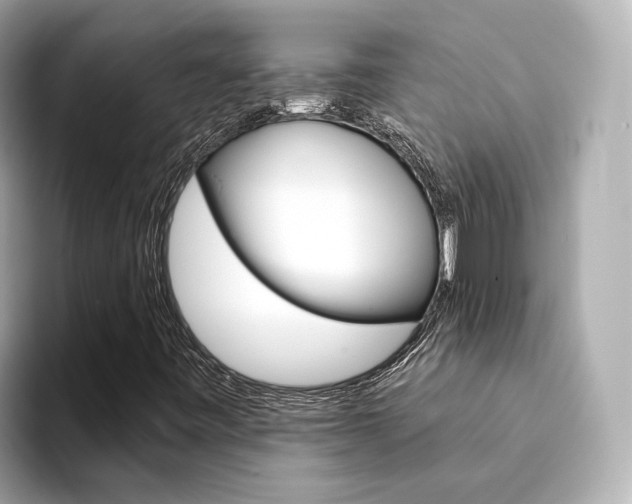 X0000094371443200711020744