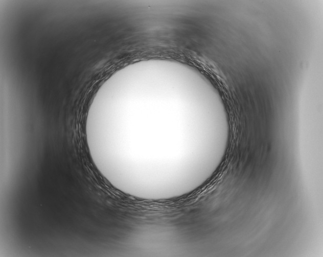 X0000094371445200711020744