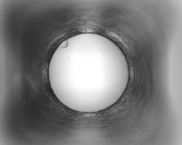 X0000094371446200711020744