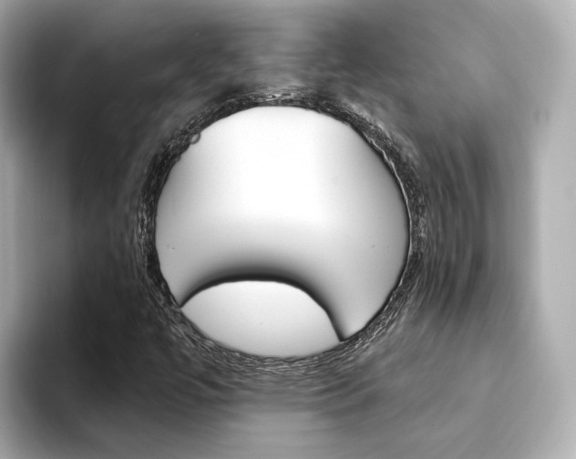 X0000094371447200711020744