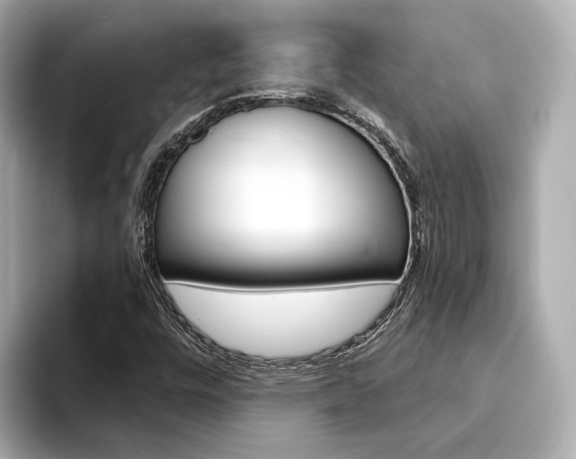 X0000094371448200711020744