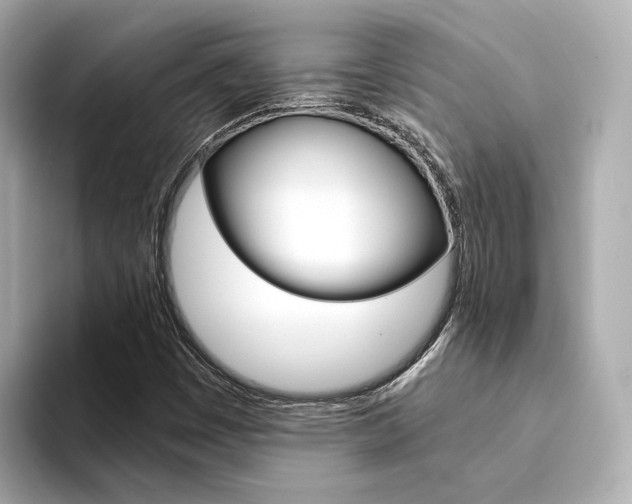 X0000094371449200711020744
